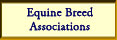 Equine Breed Associations